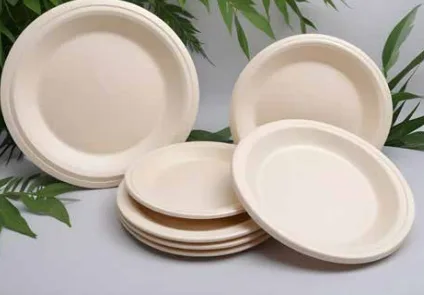 Biodegradable & Compostable Products Image