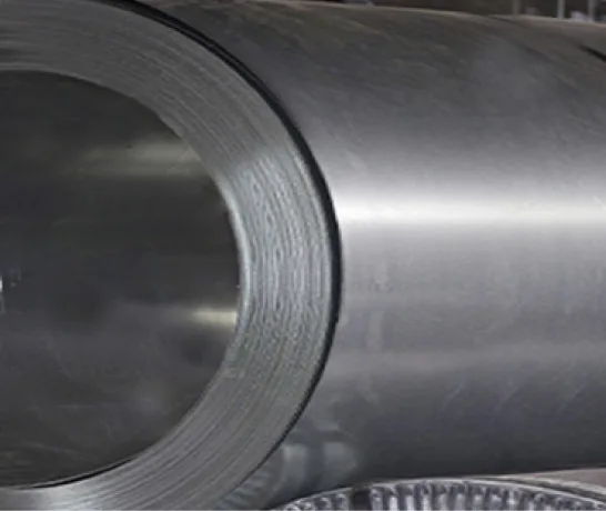 WPS Cast (Polyamide 6) Film is multi-layered
                              non-oriented film Image